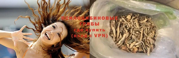 дживик Балабаново