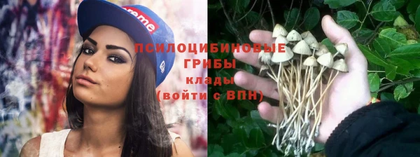 дживик Балабаново