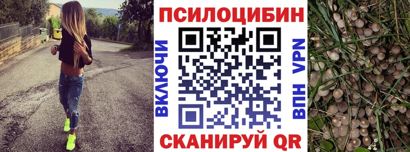 дарнет шоп  Шлиссельбург  Галлюциногенные грибы Psilocybine cubensis 